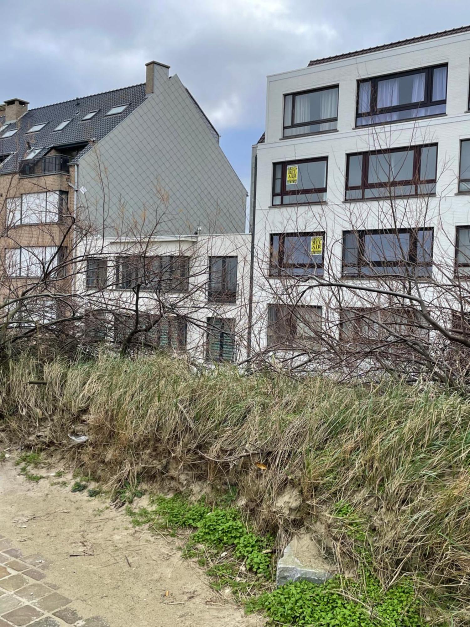 Apartment Patsiehome Ostend